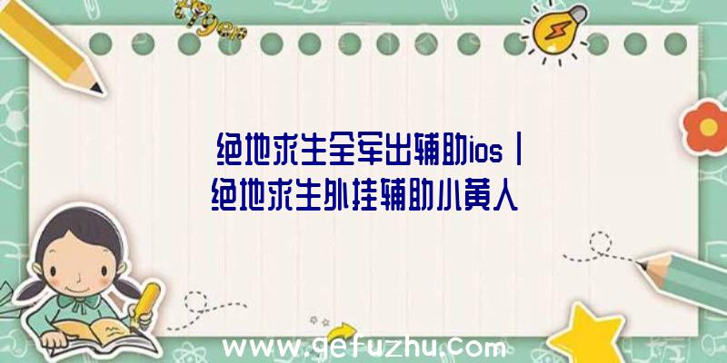 「绝地求生全军出辅助ios」|绝地求生外挂辅助小黄人